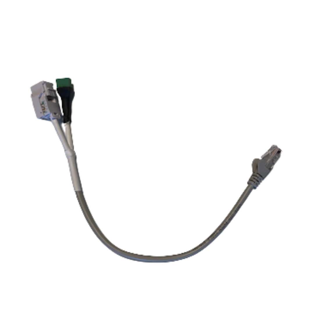 Untitled_design.png